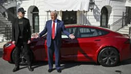 Tesla en caída libre: ¿Musk y Trump, la combinación fatal?