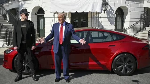 Tesla en caída libre: ¿Musk y Trump, la combinación fatal?