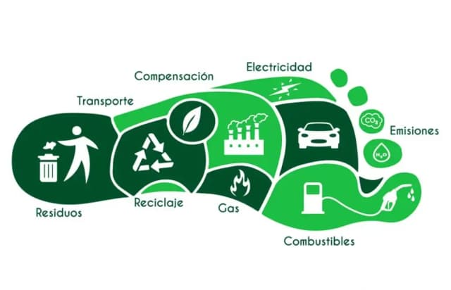 Consejos Prácticos para Reducir tu Huella de Carbono Diaria
